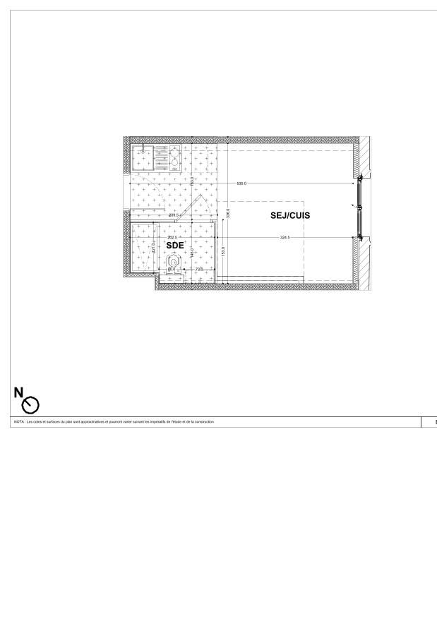 program image
