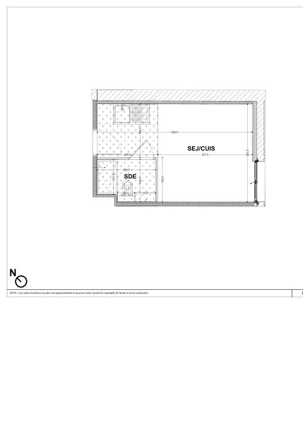 program image