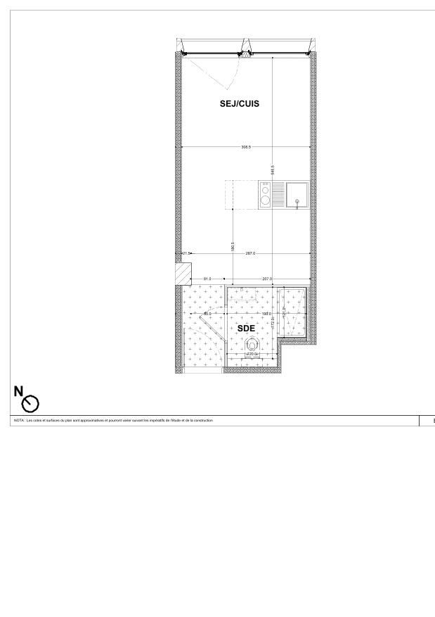 program image