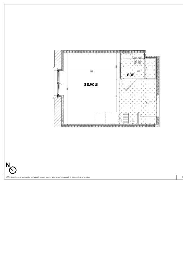 program image