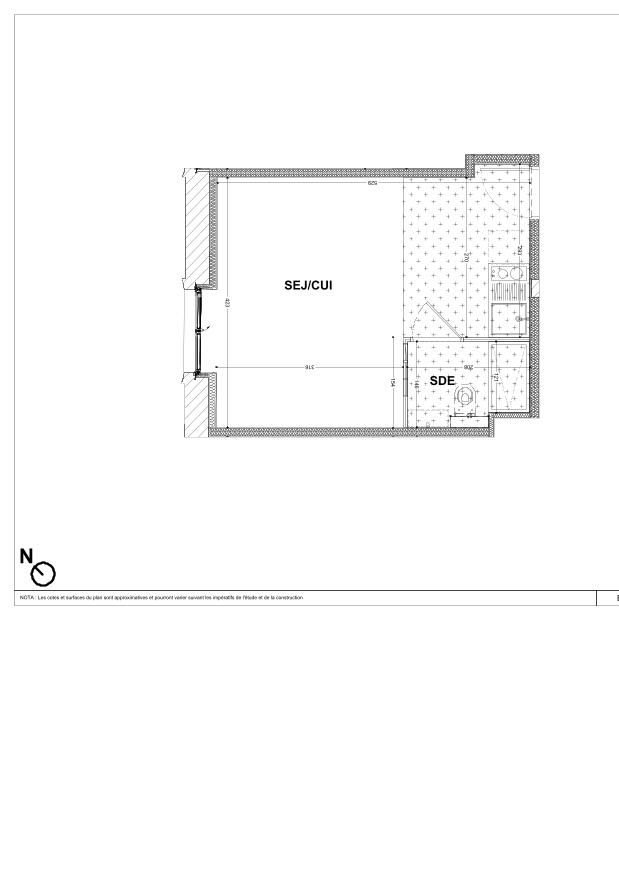 program image