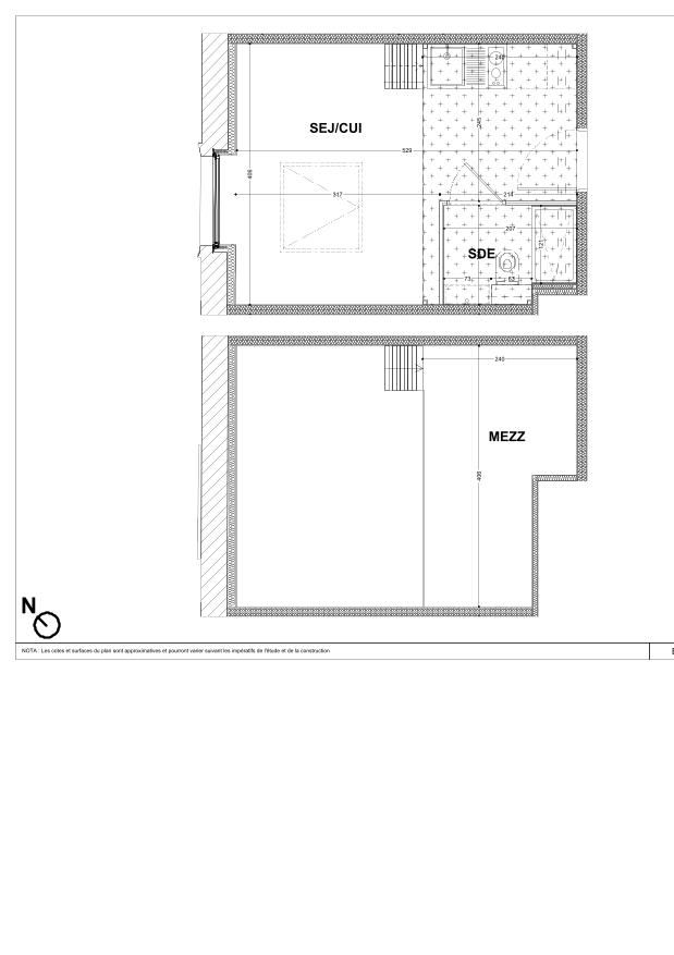 program image