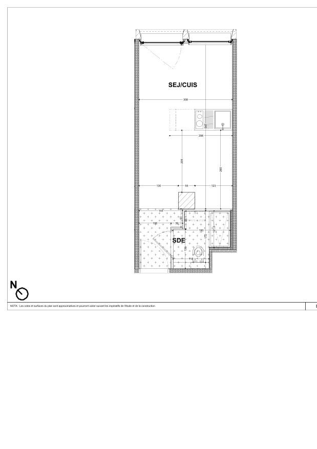 program image
