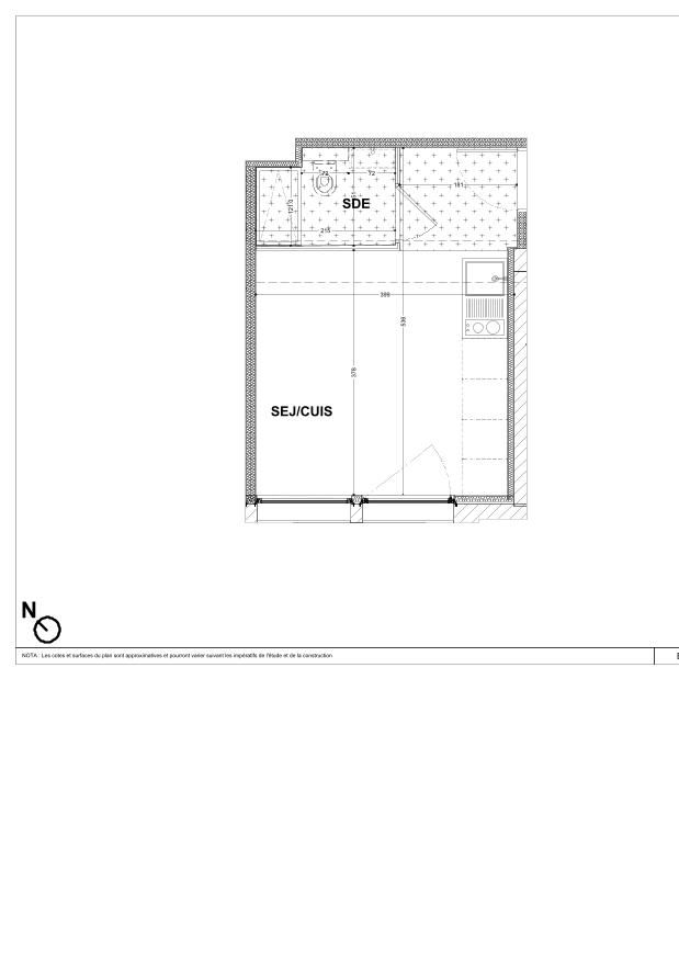 program image