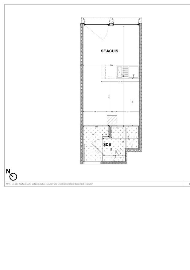 program image