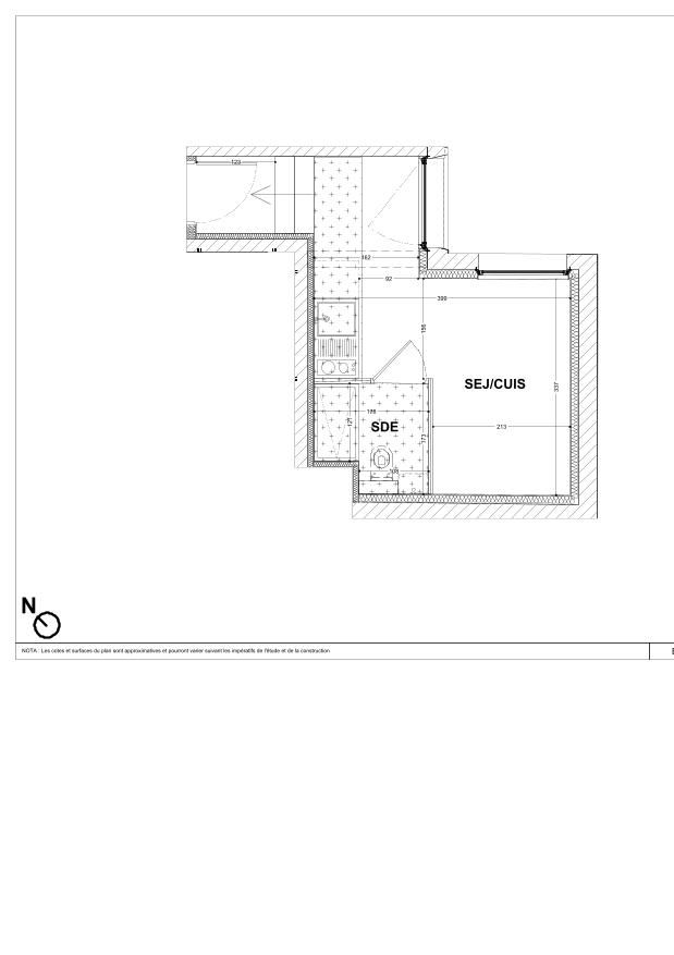 program image