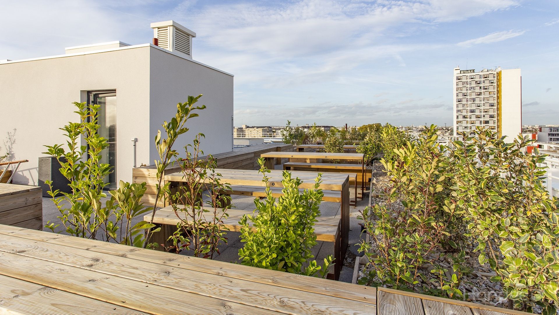 CAMPUS%20LOLA%20Terrasse