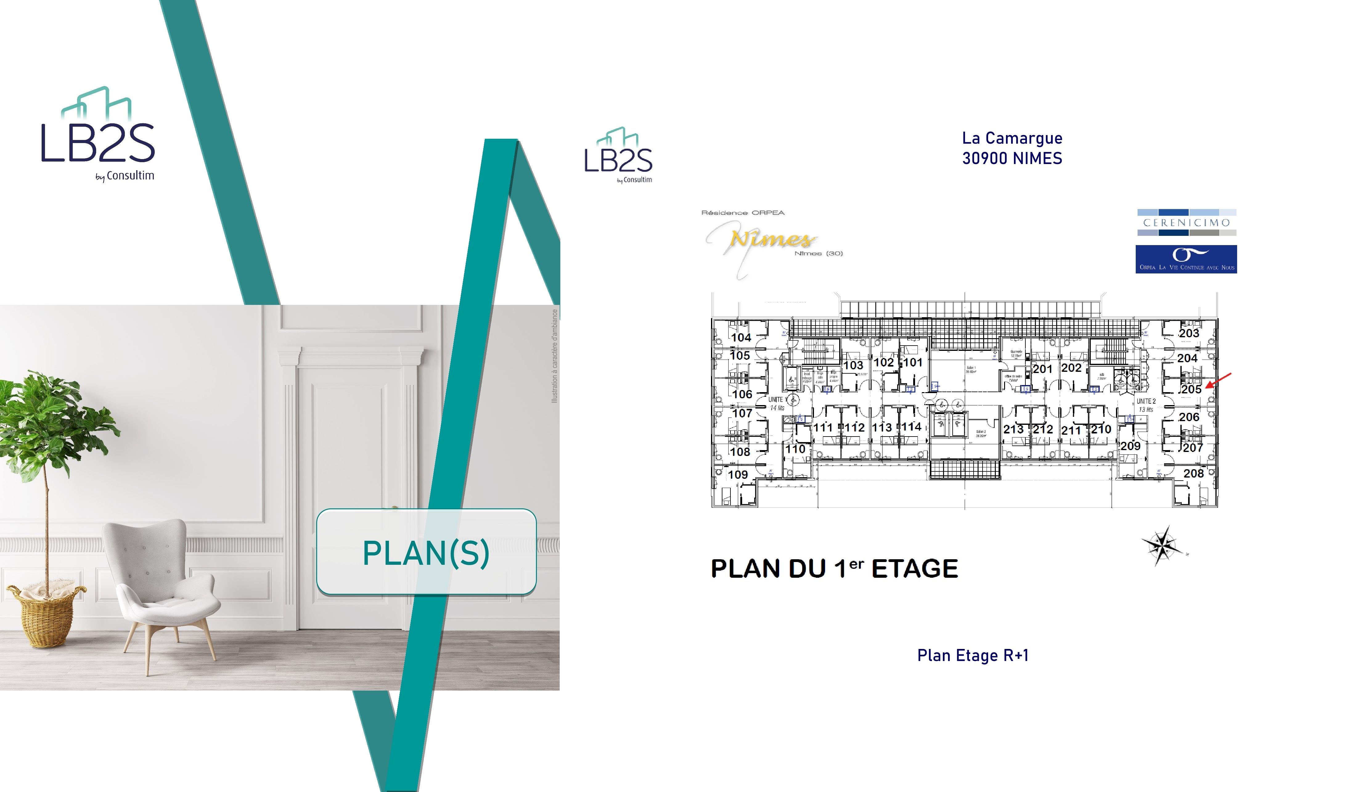 program image