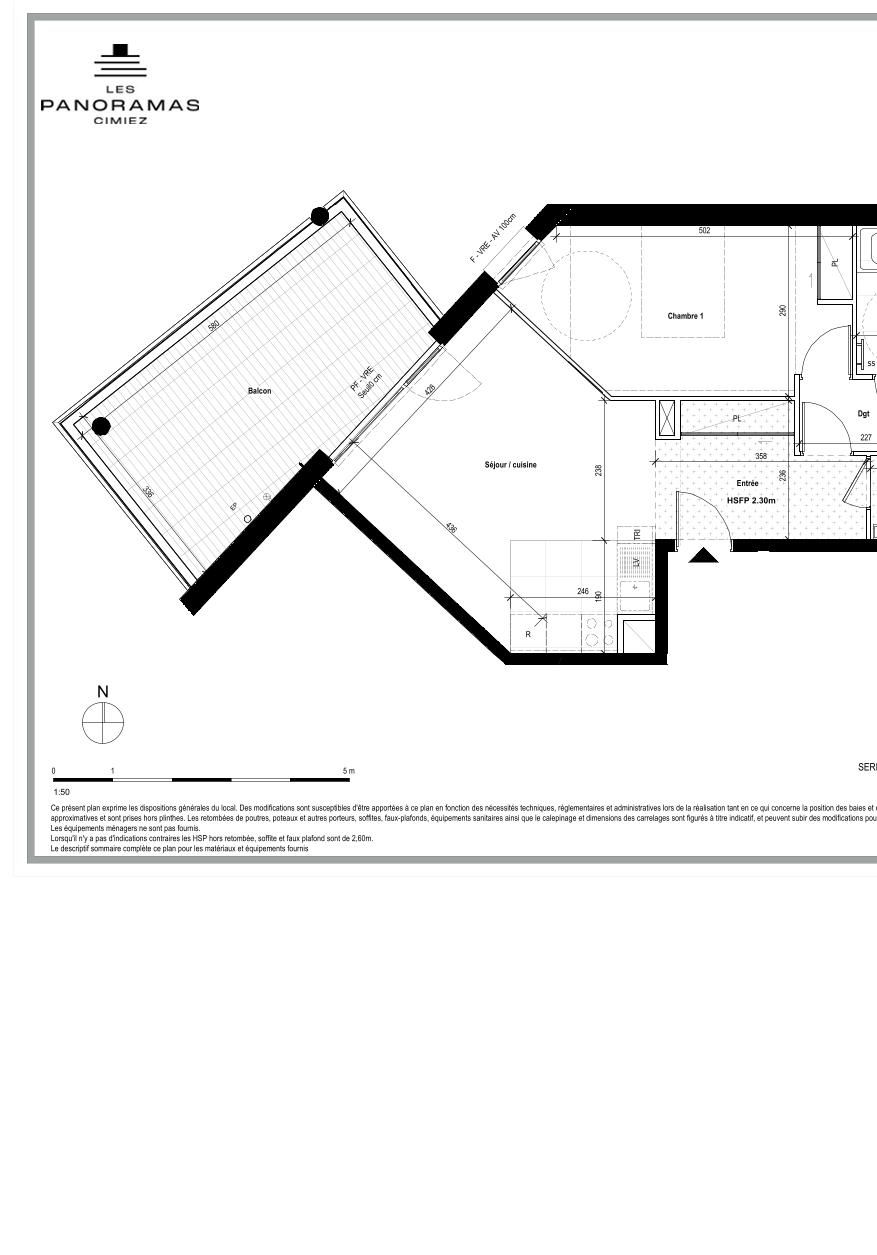 program image