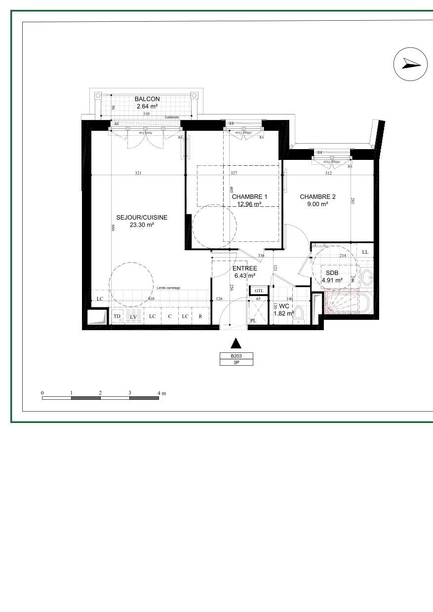 program image