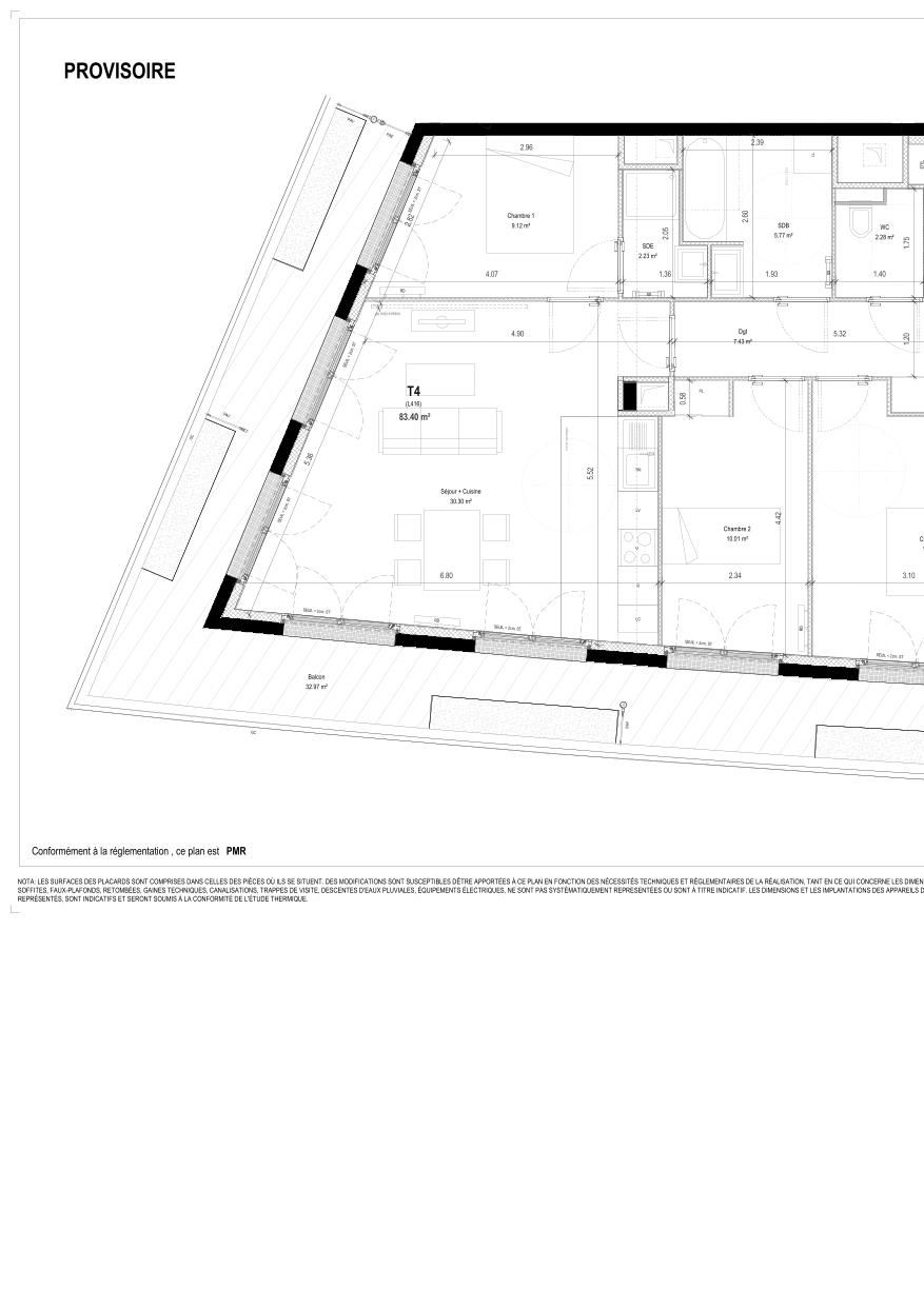 program image
