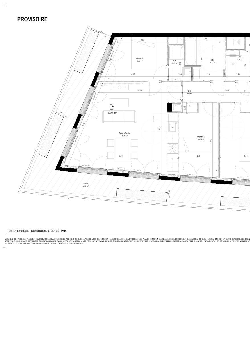 program image