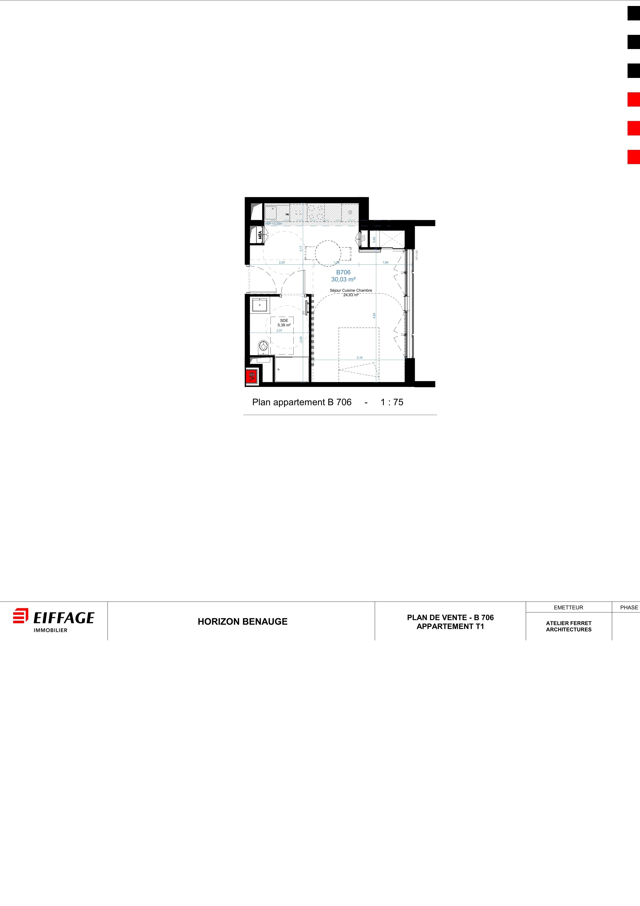 program image