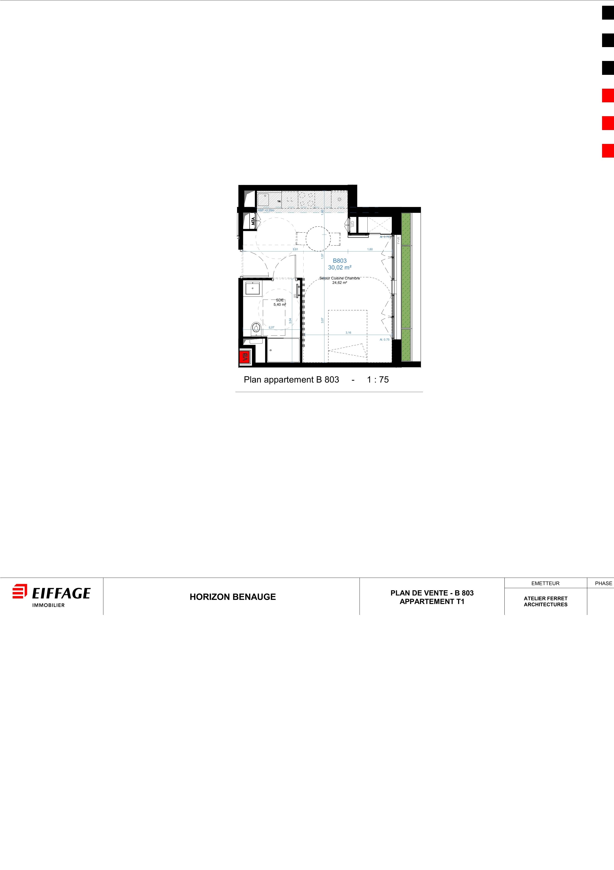 program image