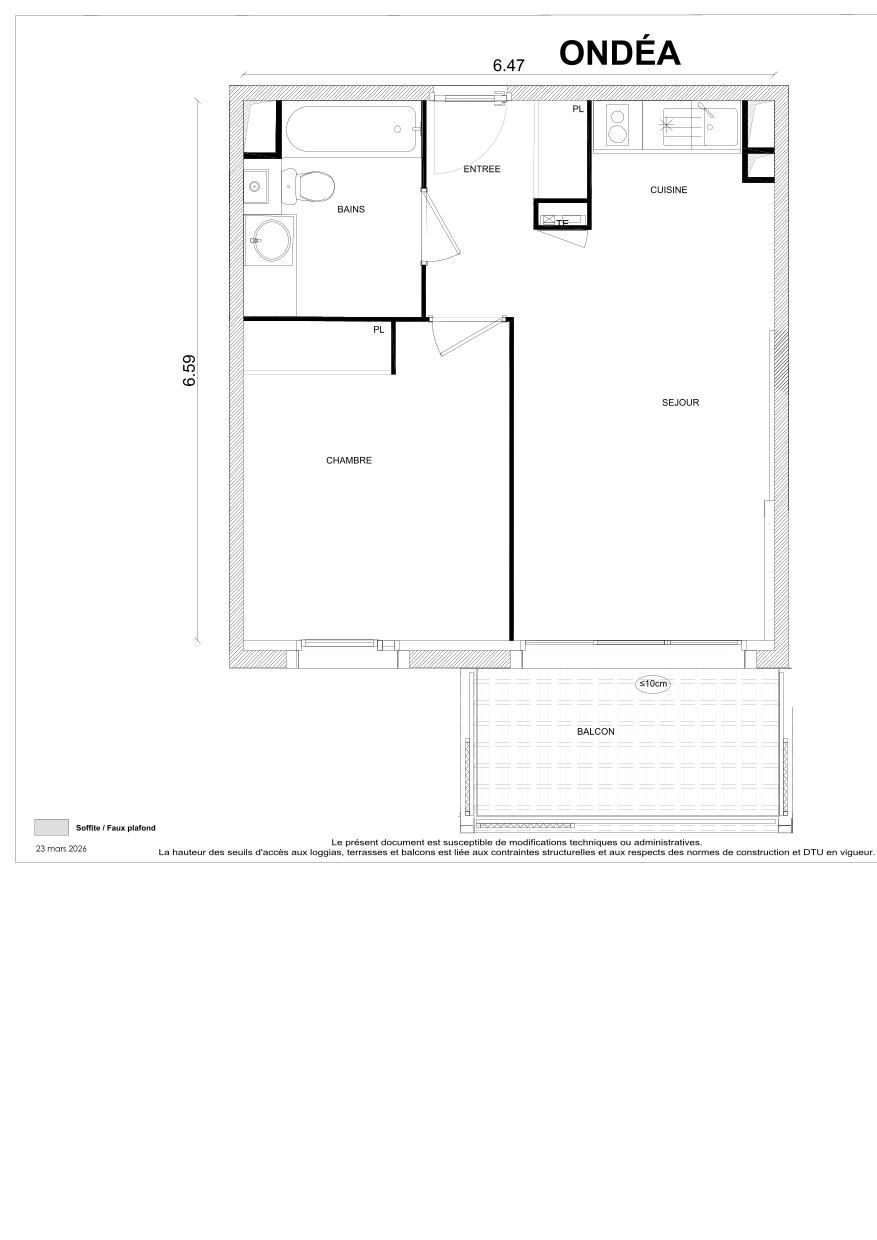 program image