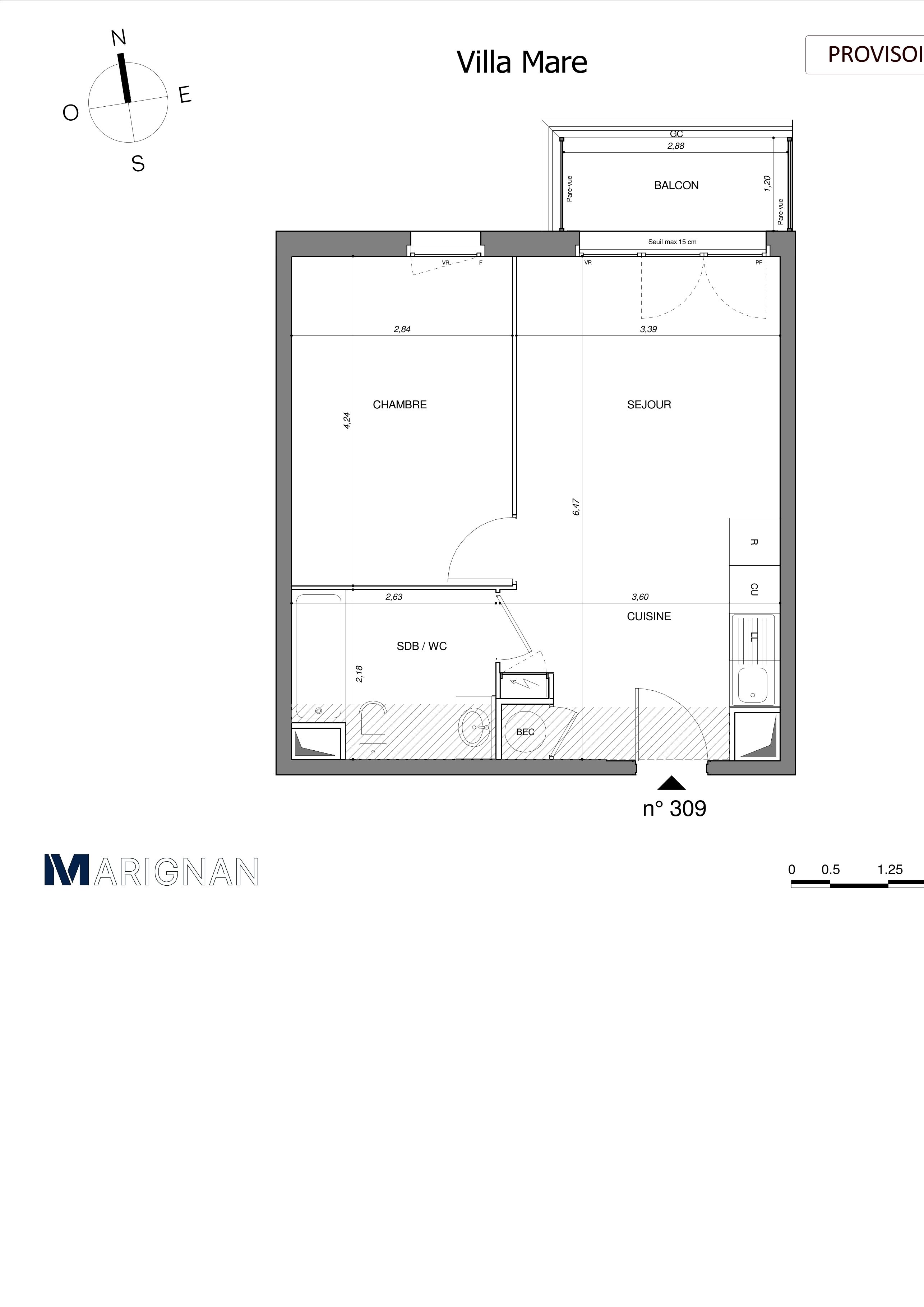 program image