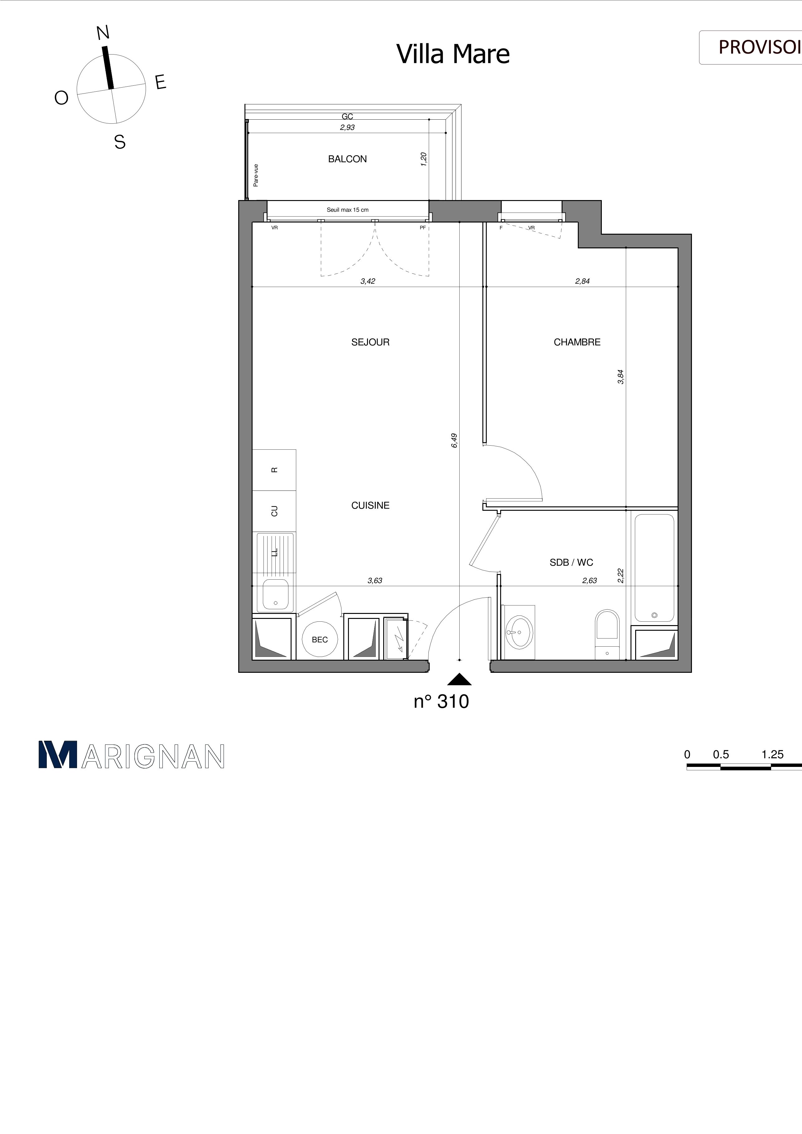 program image
