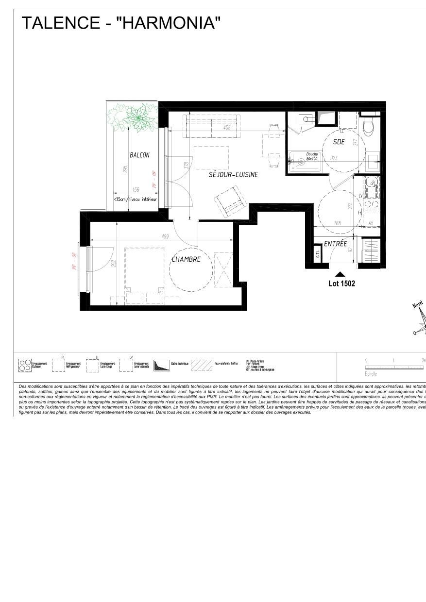 program image