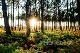 PRG_VIGN_48114