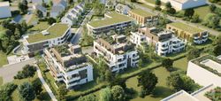 Image 538