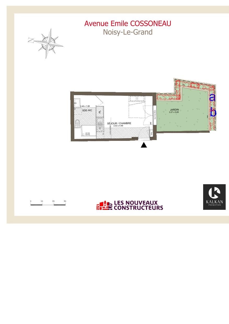 program image