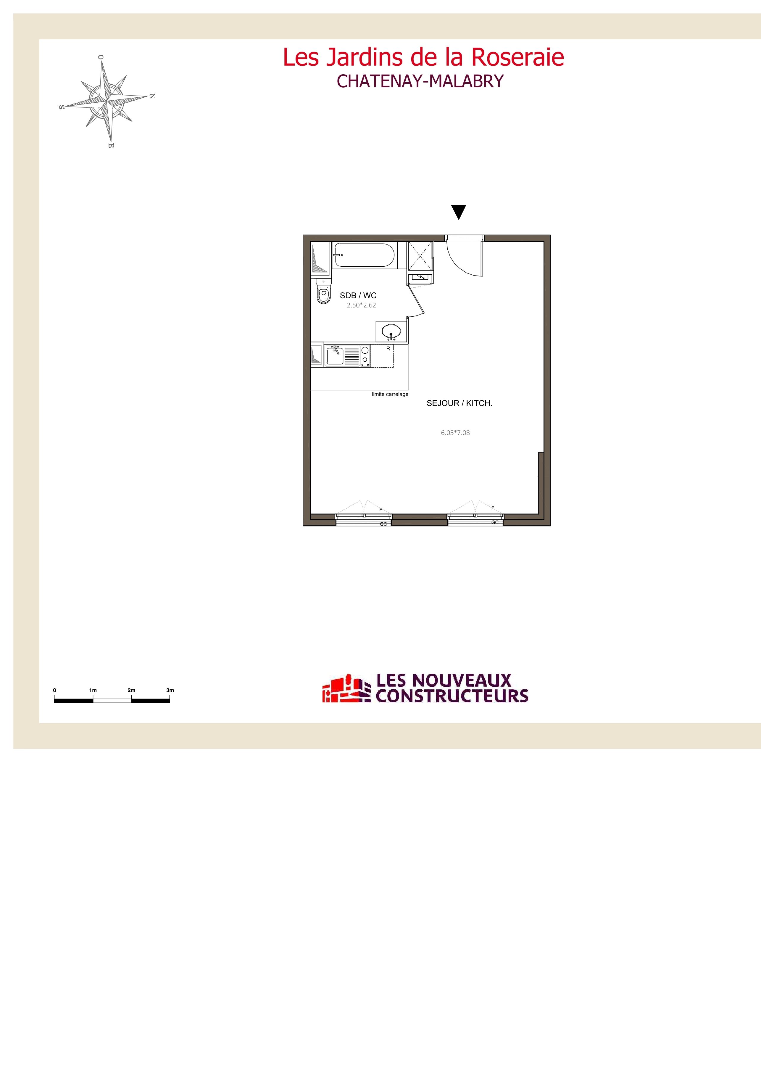 program image