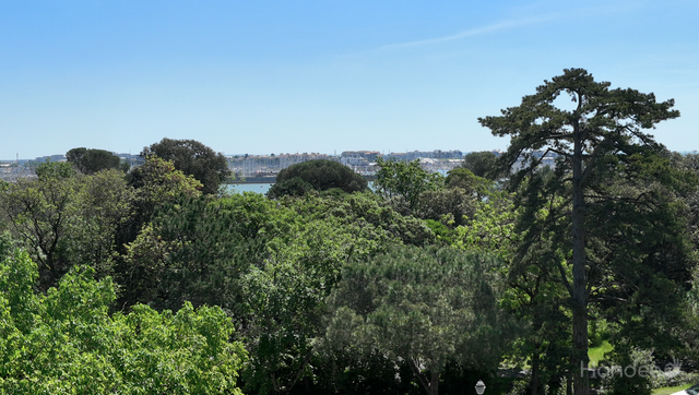 la-rochelle-acacia-LA_ROCHELLE--172-6a3d0fcc86c07