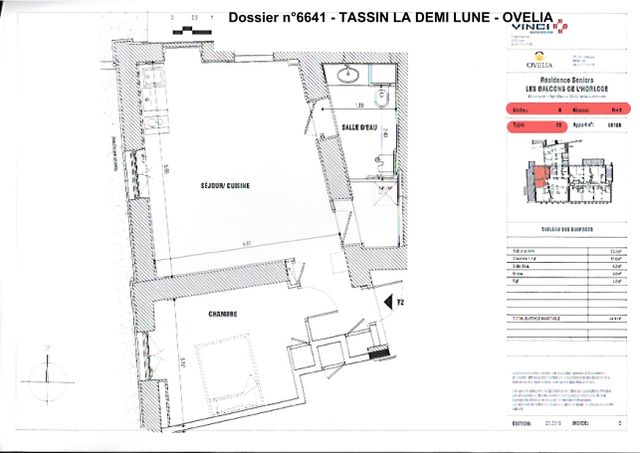 Tassin-la-Demi-Lune - 69