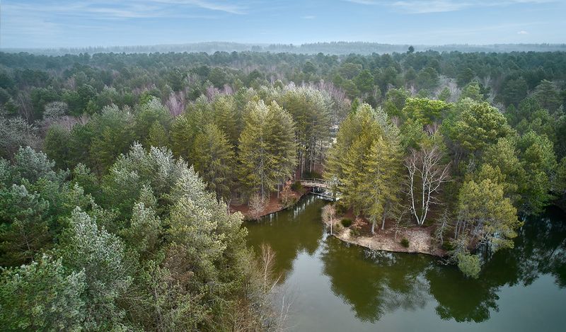 Chaumont-sur-Tharonne - 41 fénykép 7