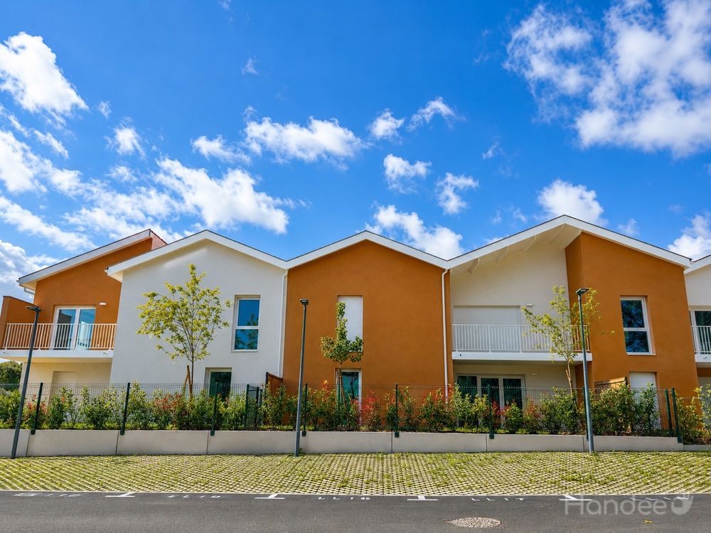 Image 13