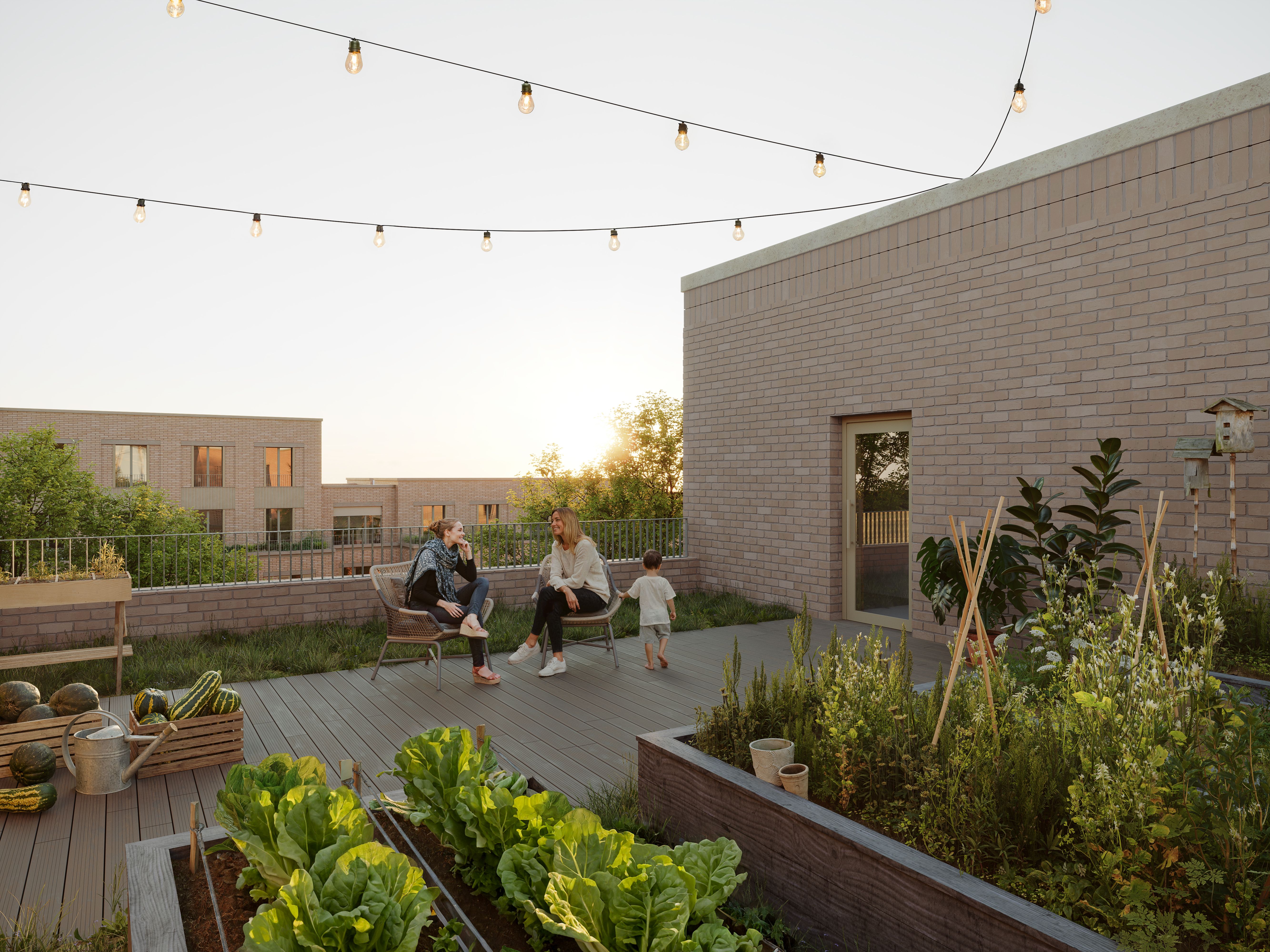 TOU_TERRASSE PARTAGEE_01